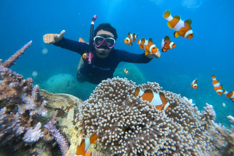 Spot Snorkeling & Sunset Terbaik di Kepulauan Seribu